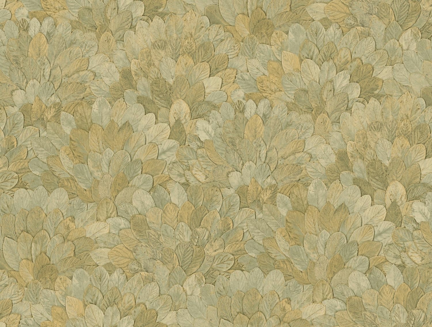 CASAMANCE FEIJOA AMANDE