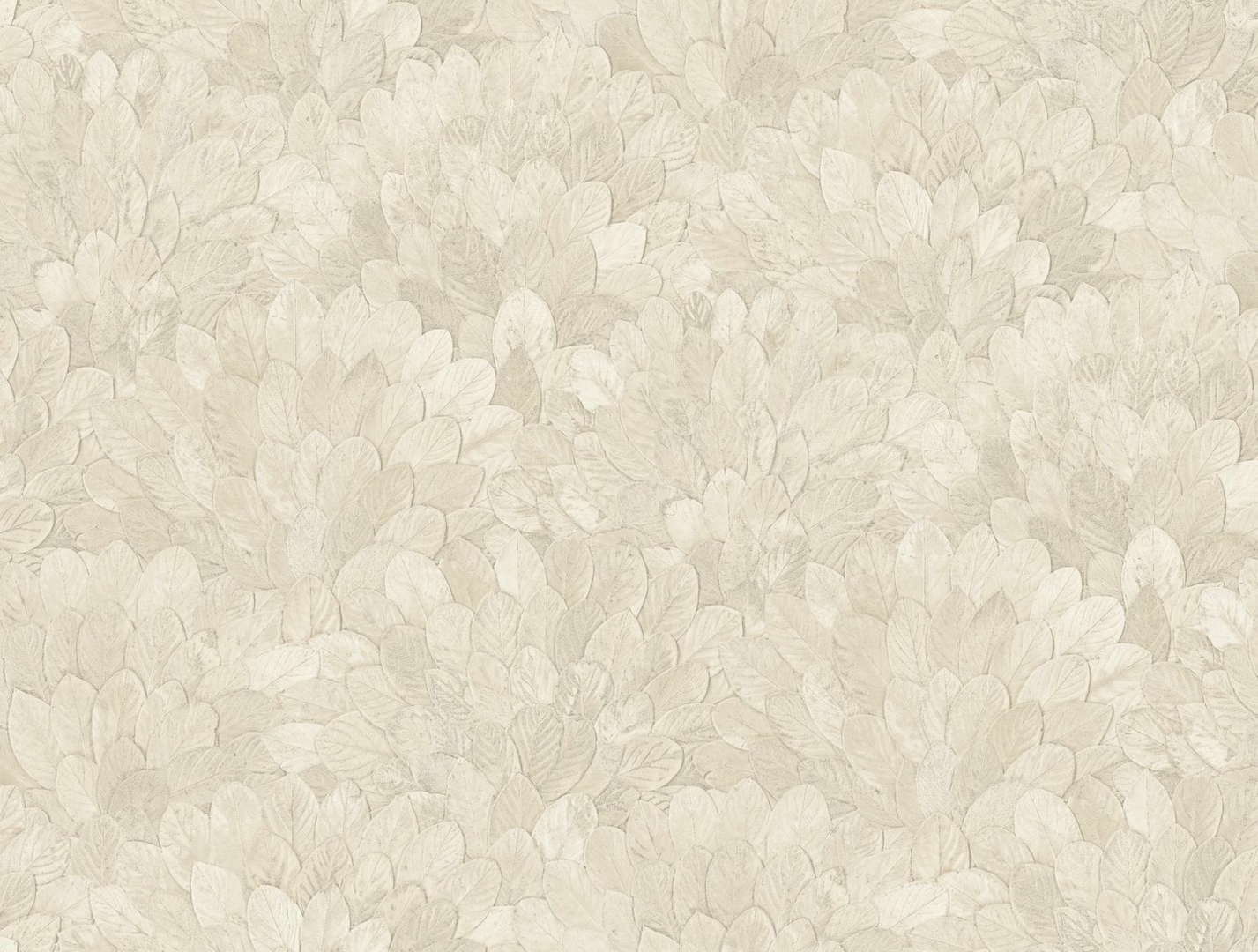 CASAMANCE FEIJOA IVOIRE