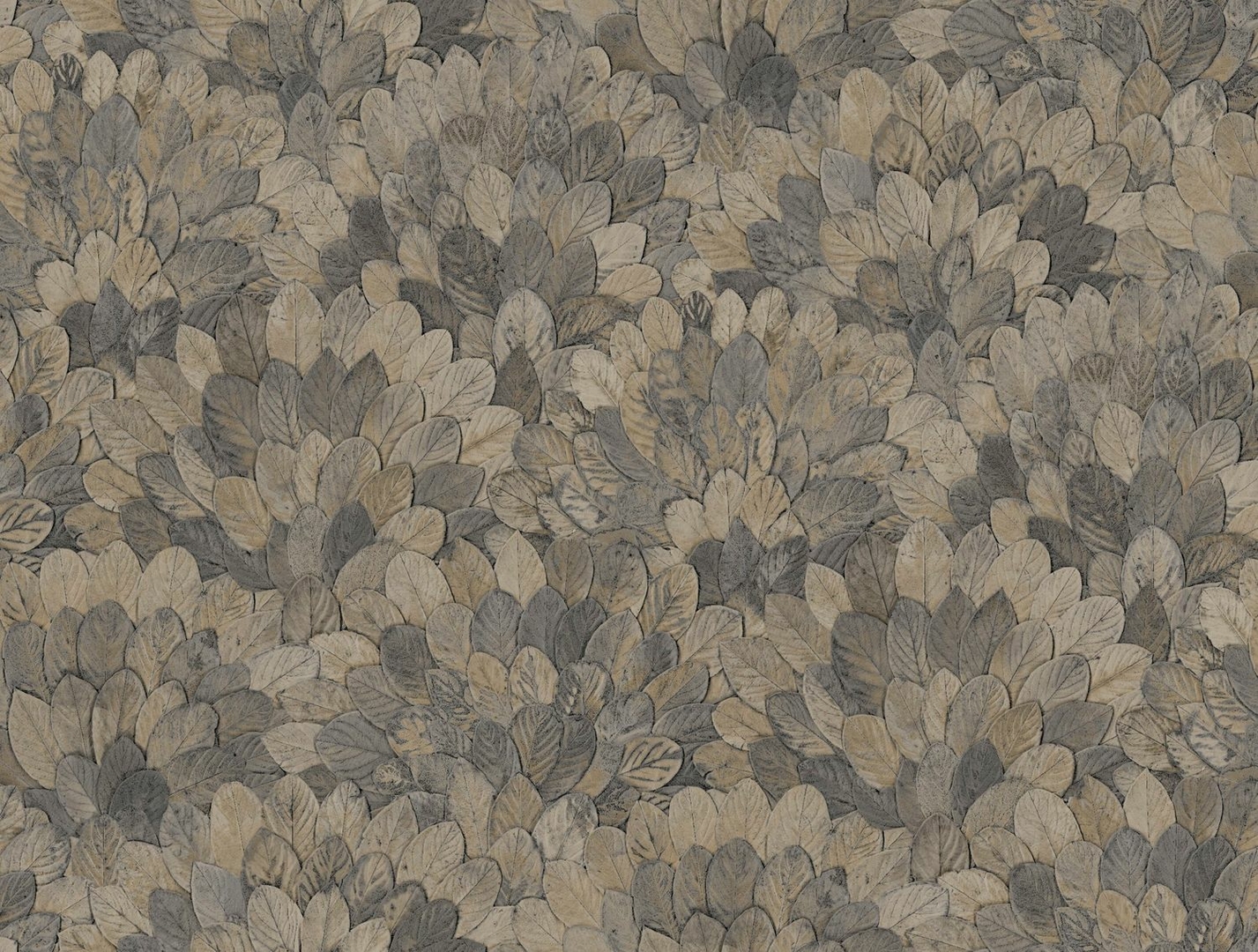 CASAMANCE FEIJOA ORAGE