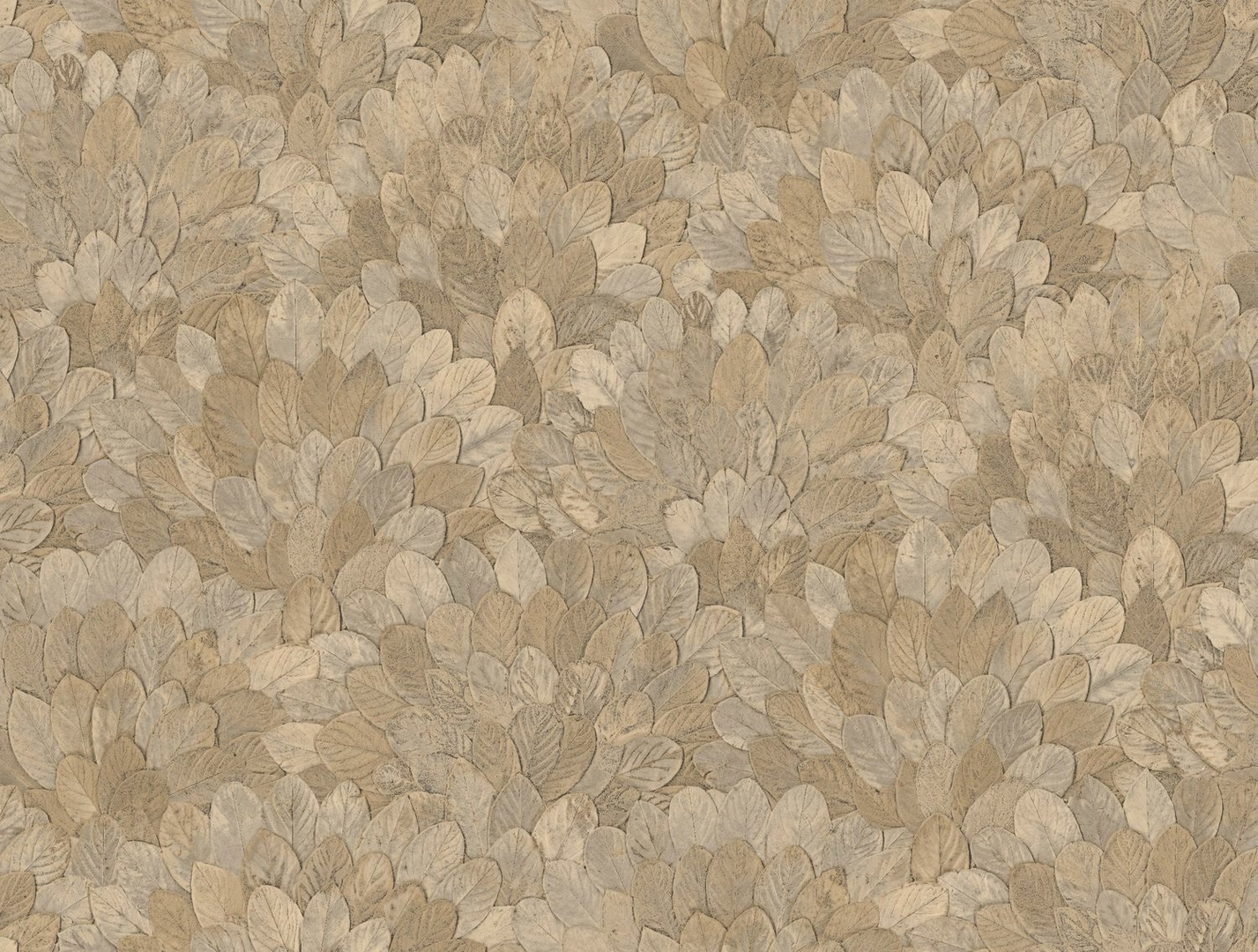CASAMANCE FEIJOA TRAVERTIN