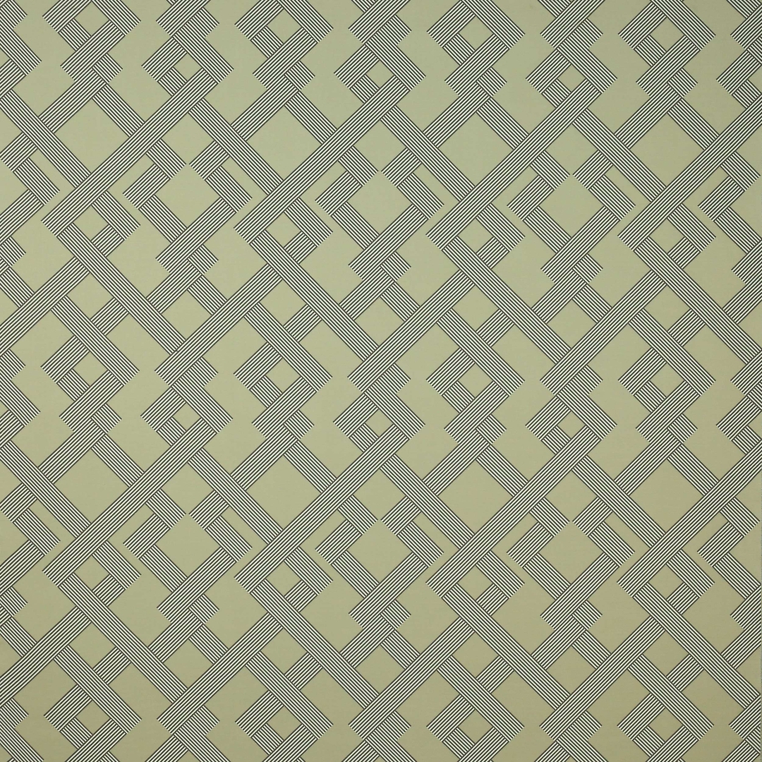 tissu-derain-manuel-canovas-04970-01- beige