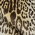 10497_02-epais-velours-leopard-tissu-siege-nobilis-beige