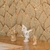 PAPIER PEINT ELITIS JONCHEE 1