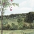 PANORAMIQUE NOBILIS SOBIRIER DES OISEAUX