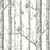 papier-peint-cole-son-arbre-foret-woods-pears-blanc-casse -largeur