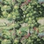 tissu-foret-compiegne-rideaux-canovas
