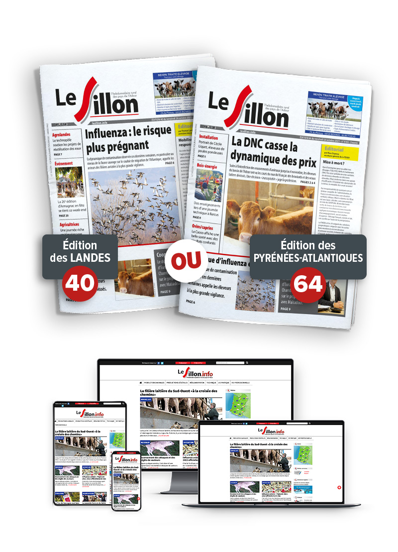Le SIllon Fiche produits copie