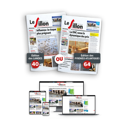 Le SIllon Fiche produits copie