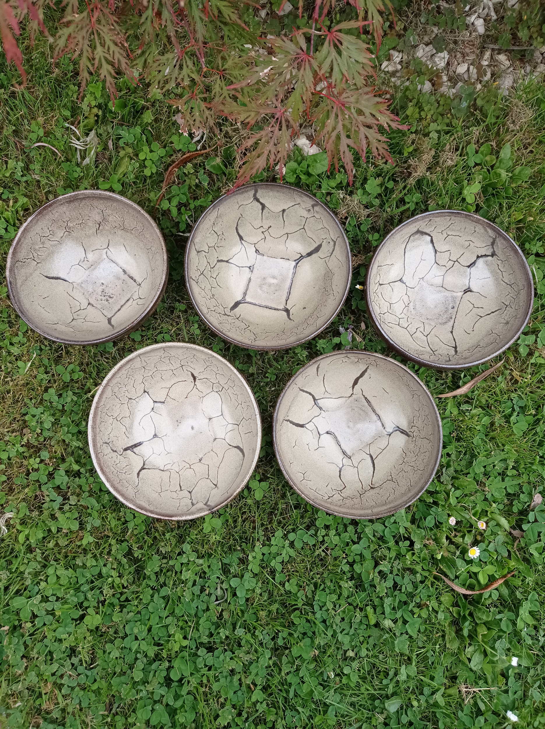 bols beige 2