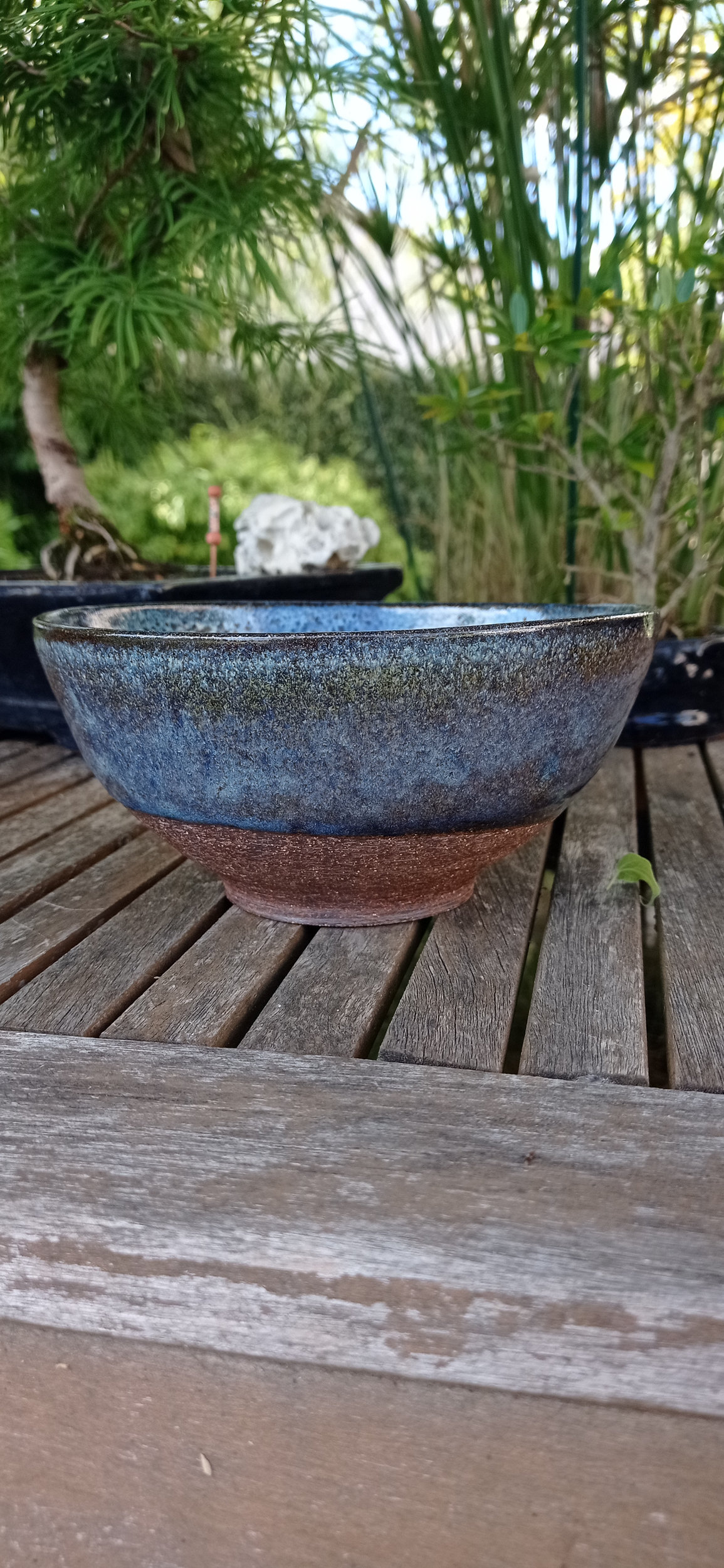 Bol bleu 4 (1)