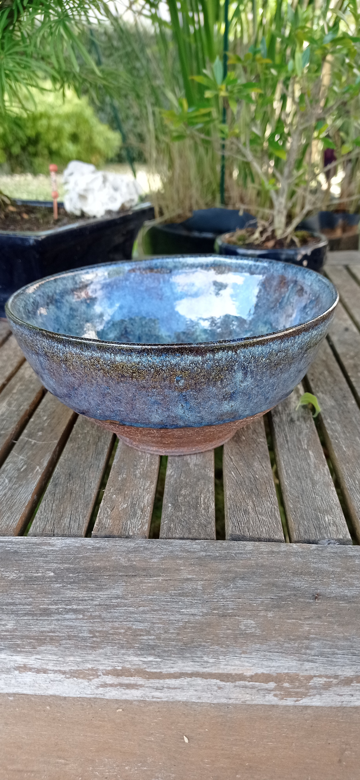 Bol bleu 4 (2)