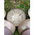 bols beige 1