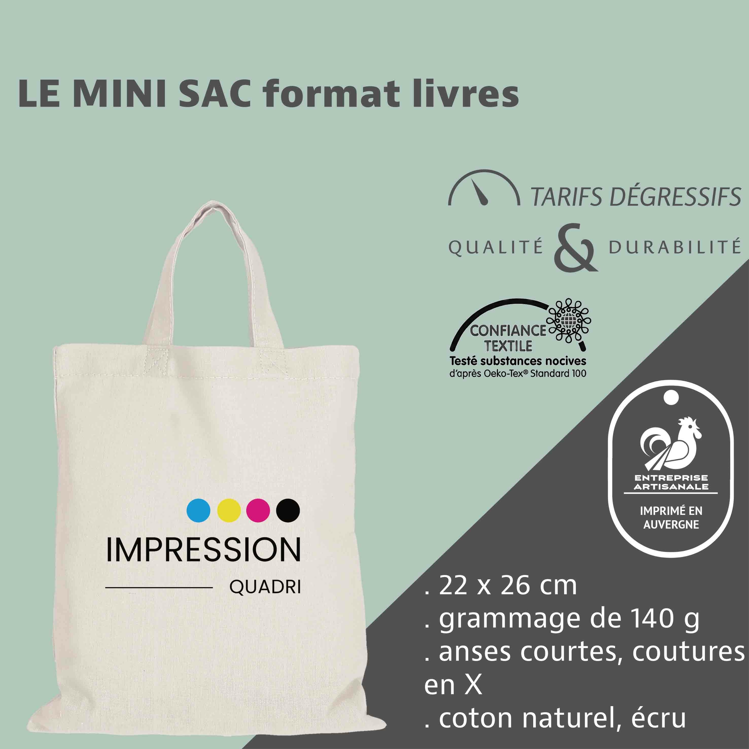 Mini sac format livres
