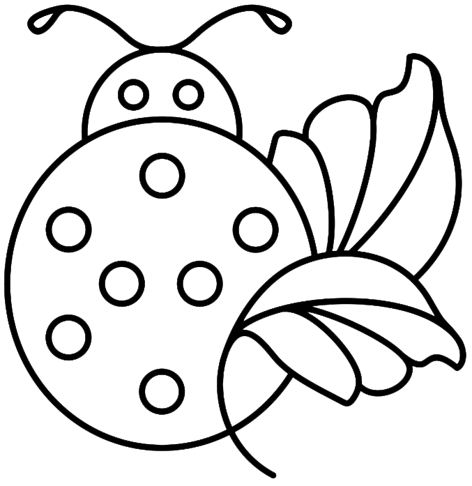 COCCINELLE