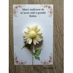 IMG_20260110_155608