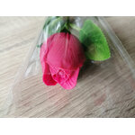 IMG_20260228_132954