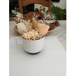 IMG_20260818_165929