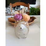 IMG_20260910_134709