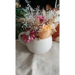 IMG_20261011_174551
