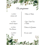 programme eucalyptus