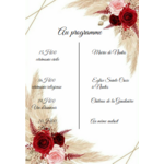programme plume