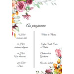 programme fleur pastel