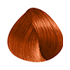 6.40_thumb
