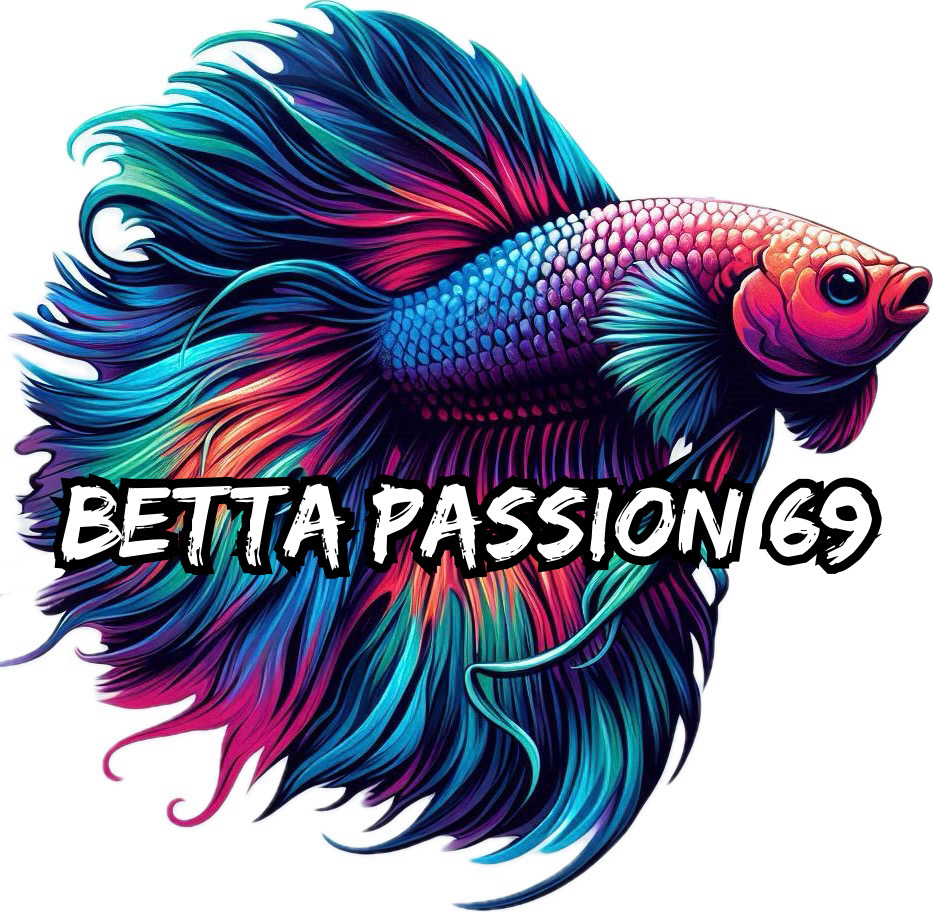 BETTA Passion 69