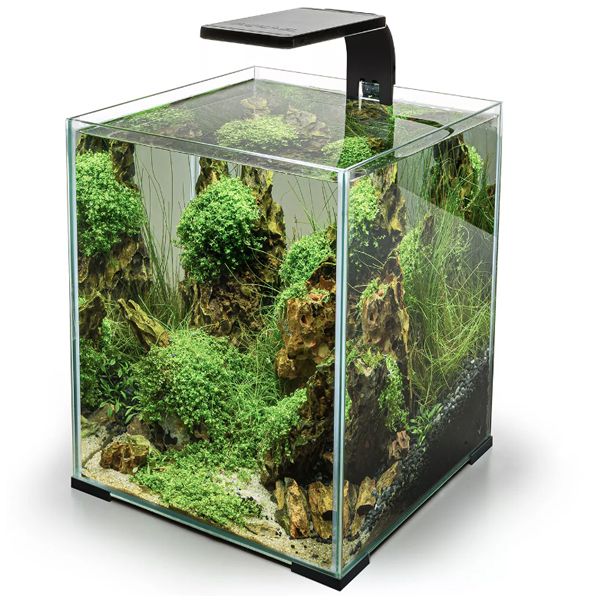 aquael-leddy-smart-plant-day-night-noir-aquarium-eau-douce-2