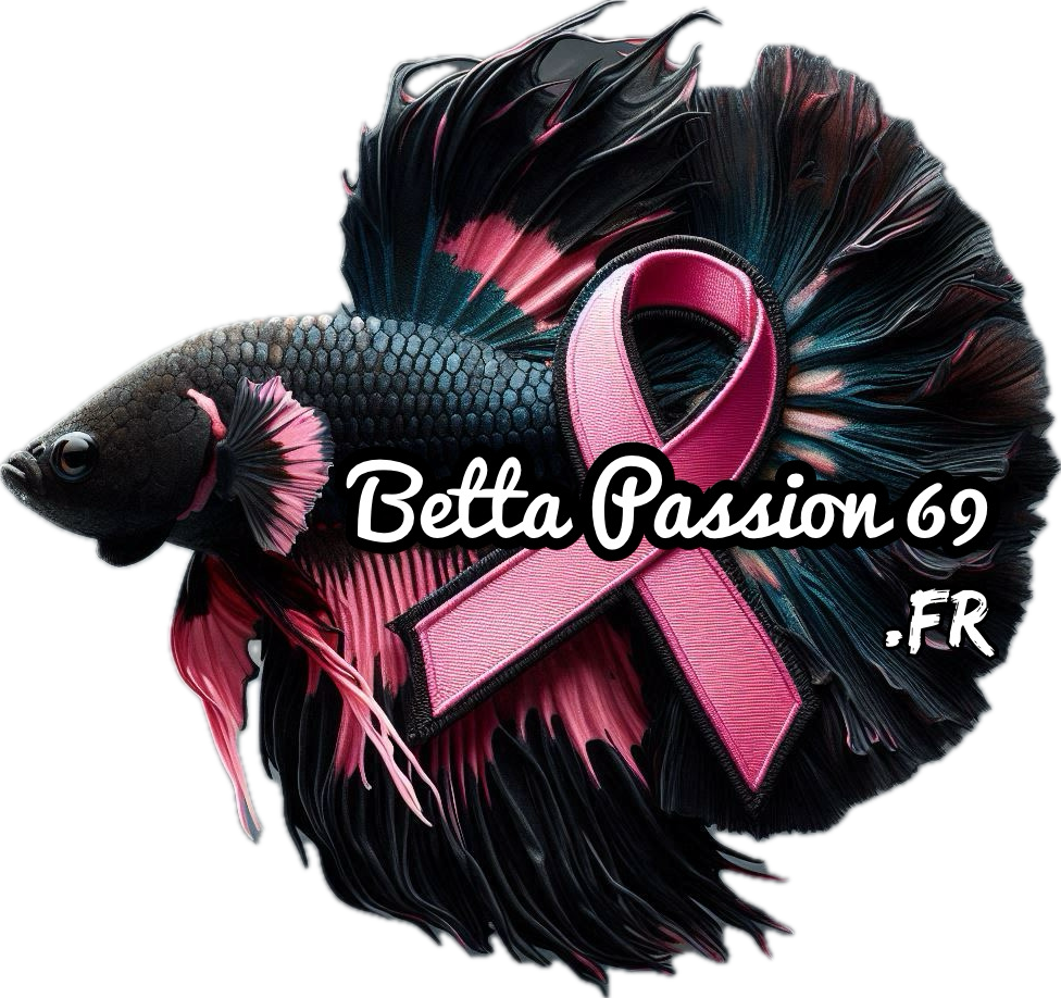 BETTA PASSION 69