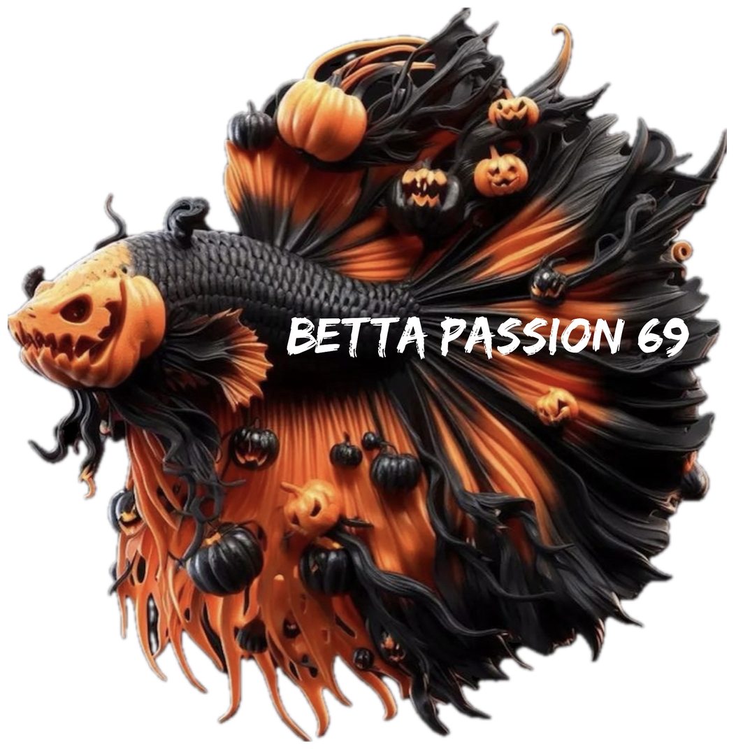BETTA PASSION 69