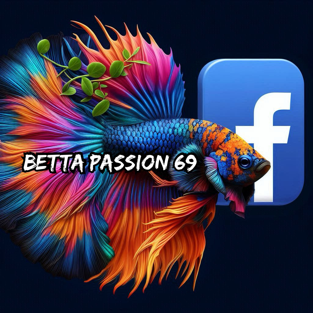 e3a4c0a7 ae20 4a3f 8514 a7203d6507a9