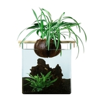 cocogarden-filtration-naturelle-noix-de-coco