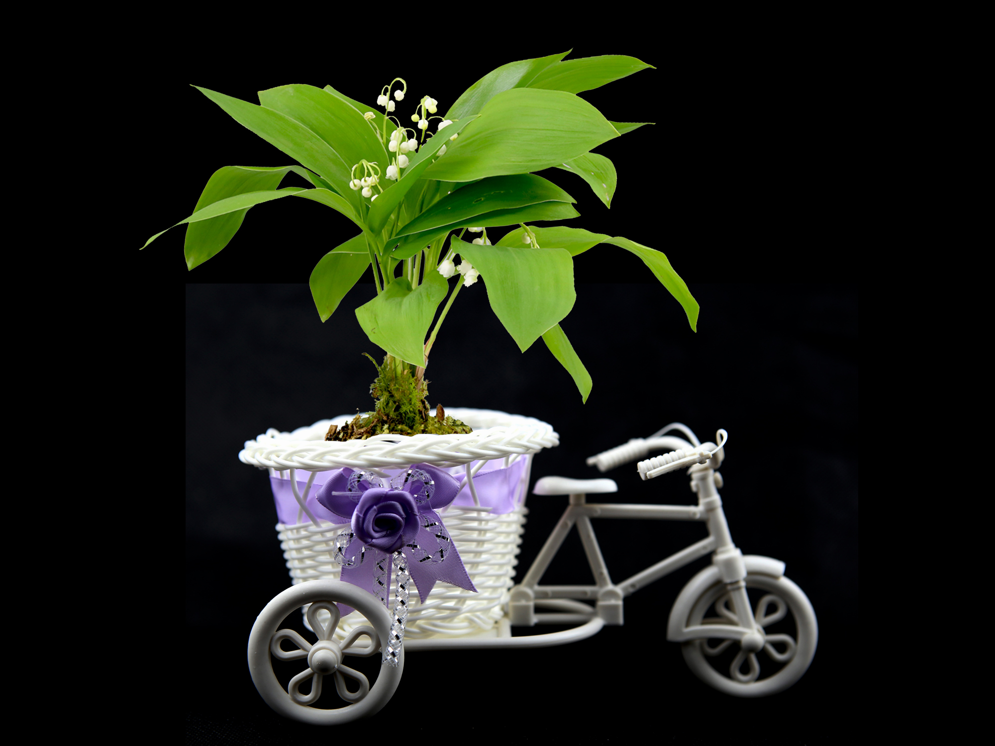 Lot de 10 pots vélo à fleurs PVC pour brins de muguets DMP13