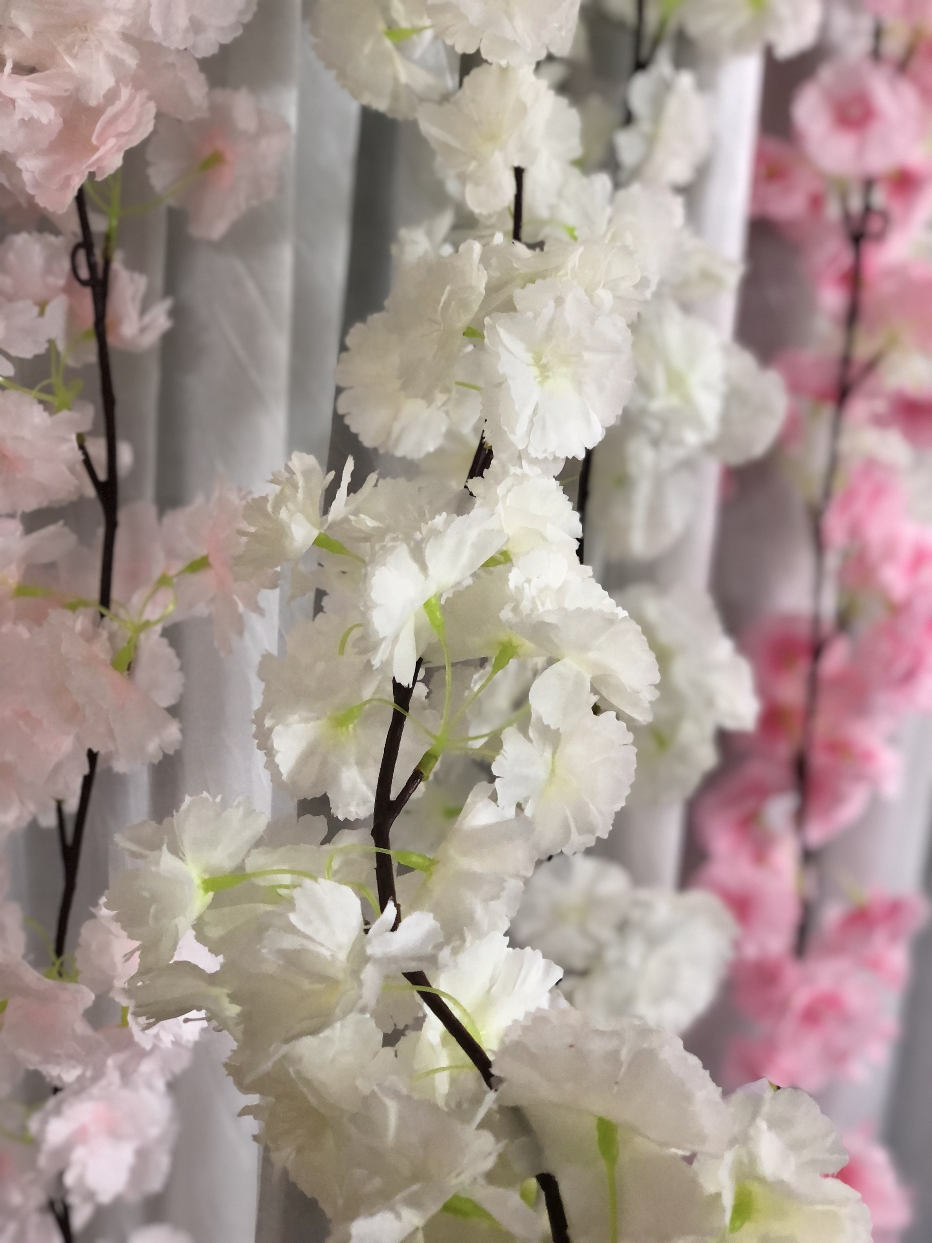 guillandes fleurs cerisier (4)