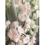 guillandes fleurs cerisier (1)