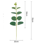 feuilles deucalyptus 0.3 (1)