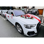 CV120RG