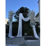 IMG_1575