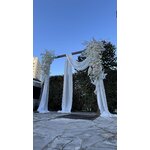 IMG_1582