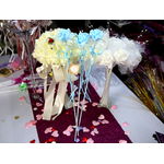 AIMG_1288