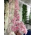 guillandes fleurs cerisier (5)
