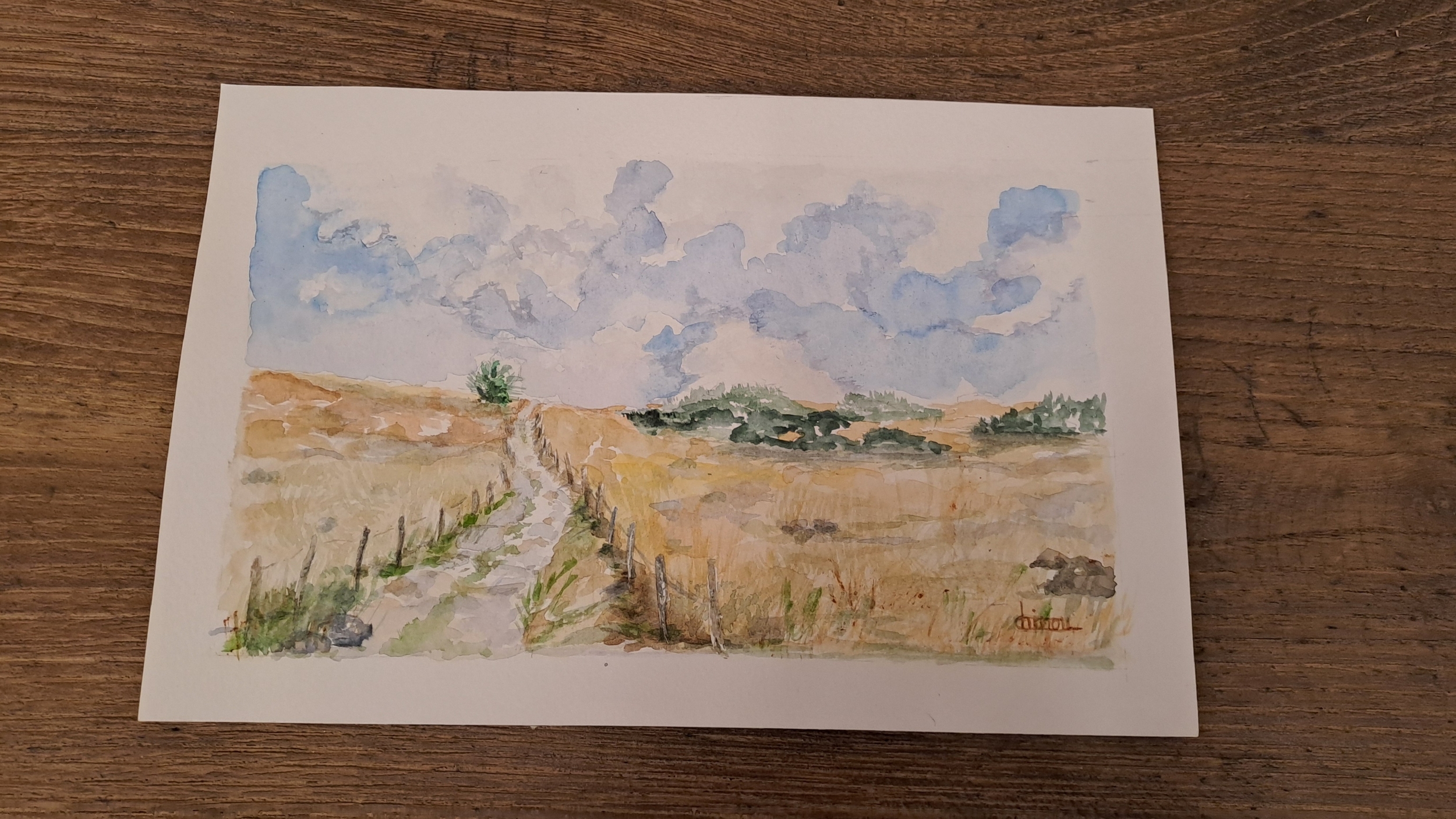 Aquarelle N°12 Plateau de lAubrac-Retour dAubrac