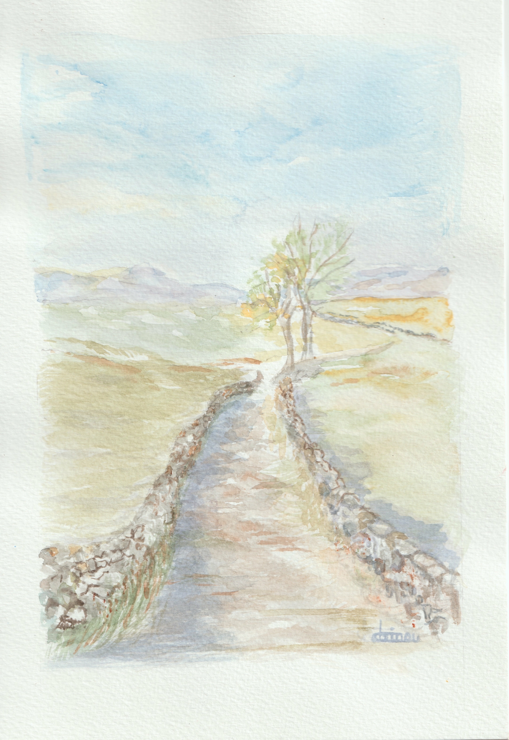 Aquarelle Nr13-Plateau de lAubrac-Retour dAubrac 2-