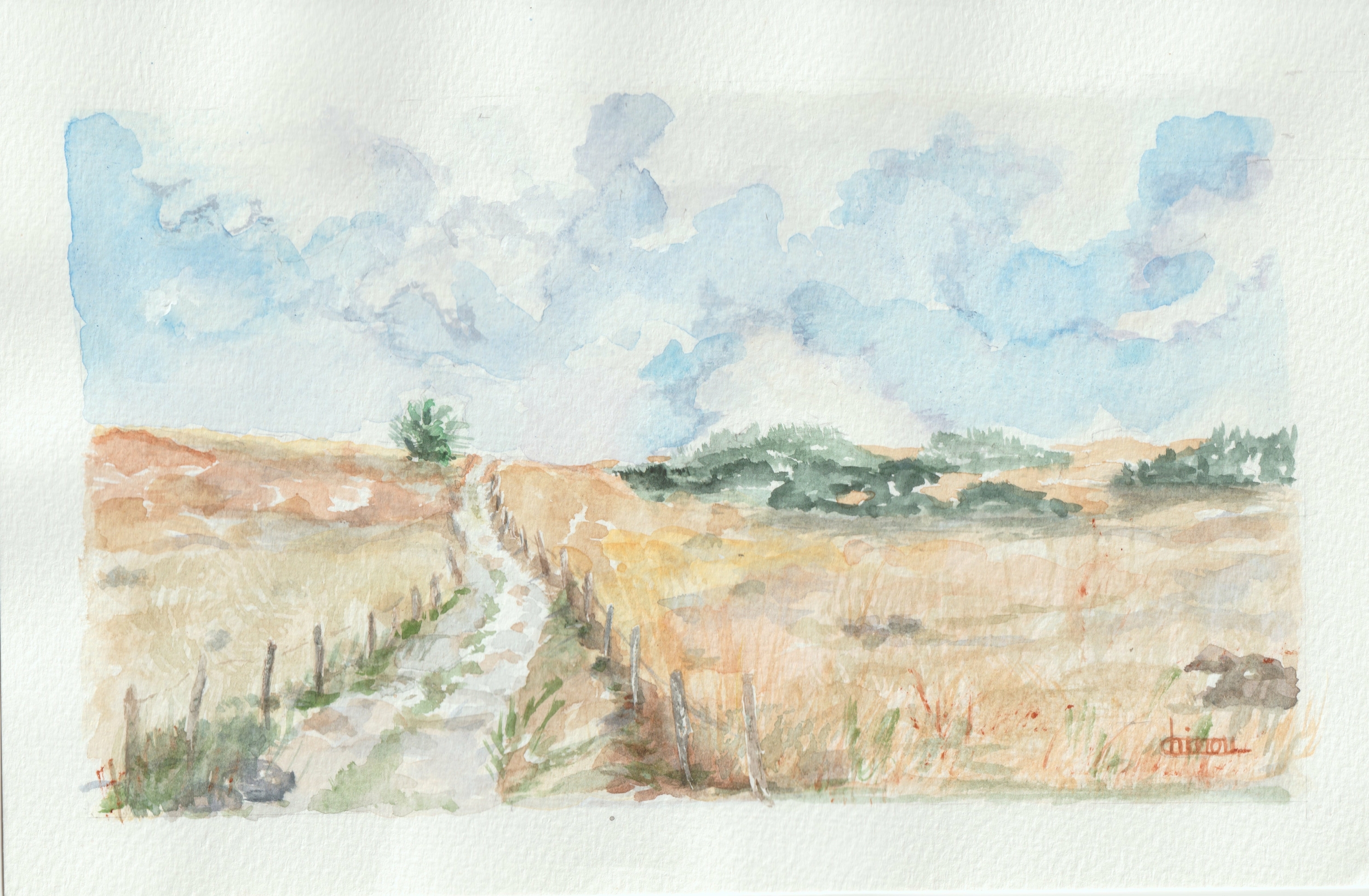 Aquarelle N°12 Plateau de lAubrac-Retour dAubrac 2-