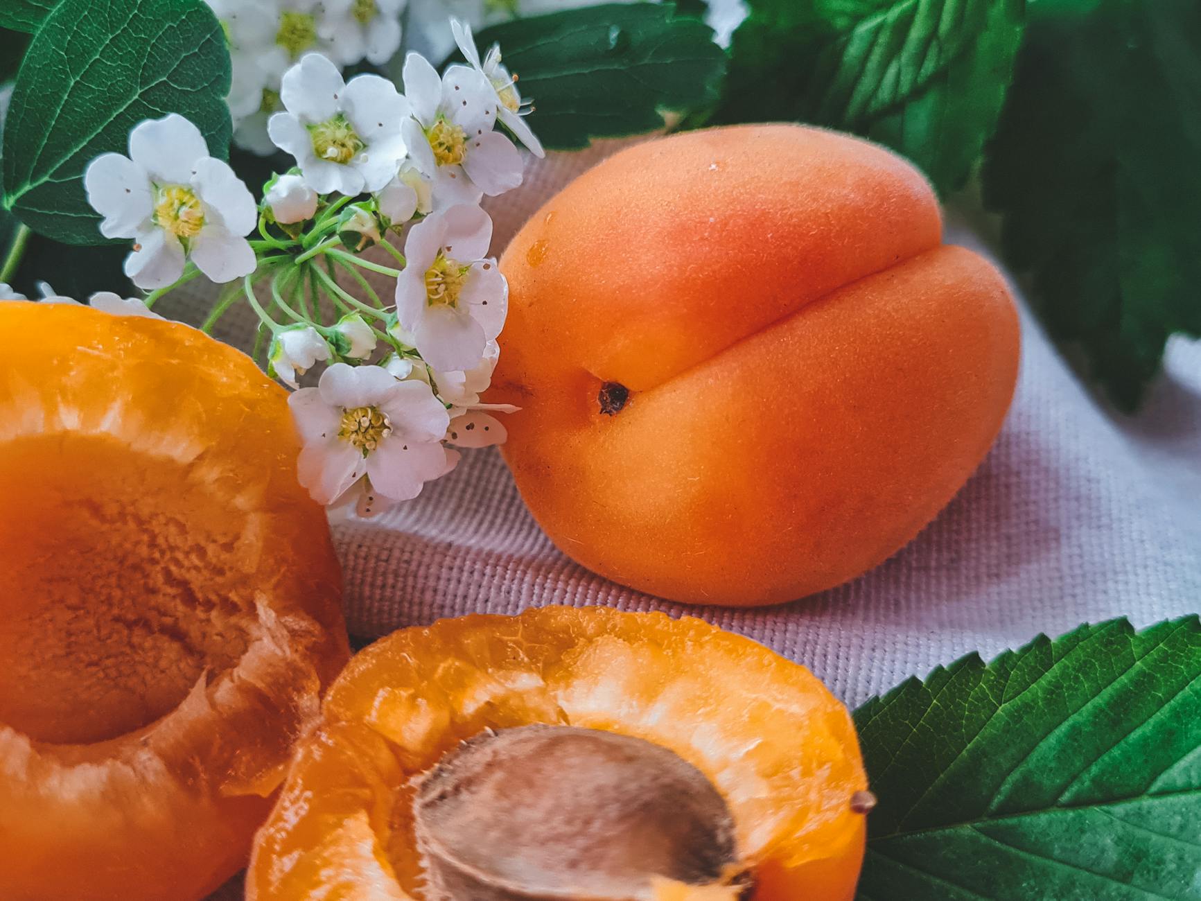abricots, alimentation saine, aliments
