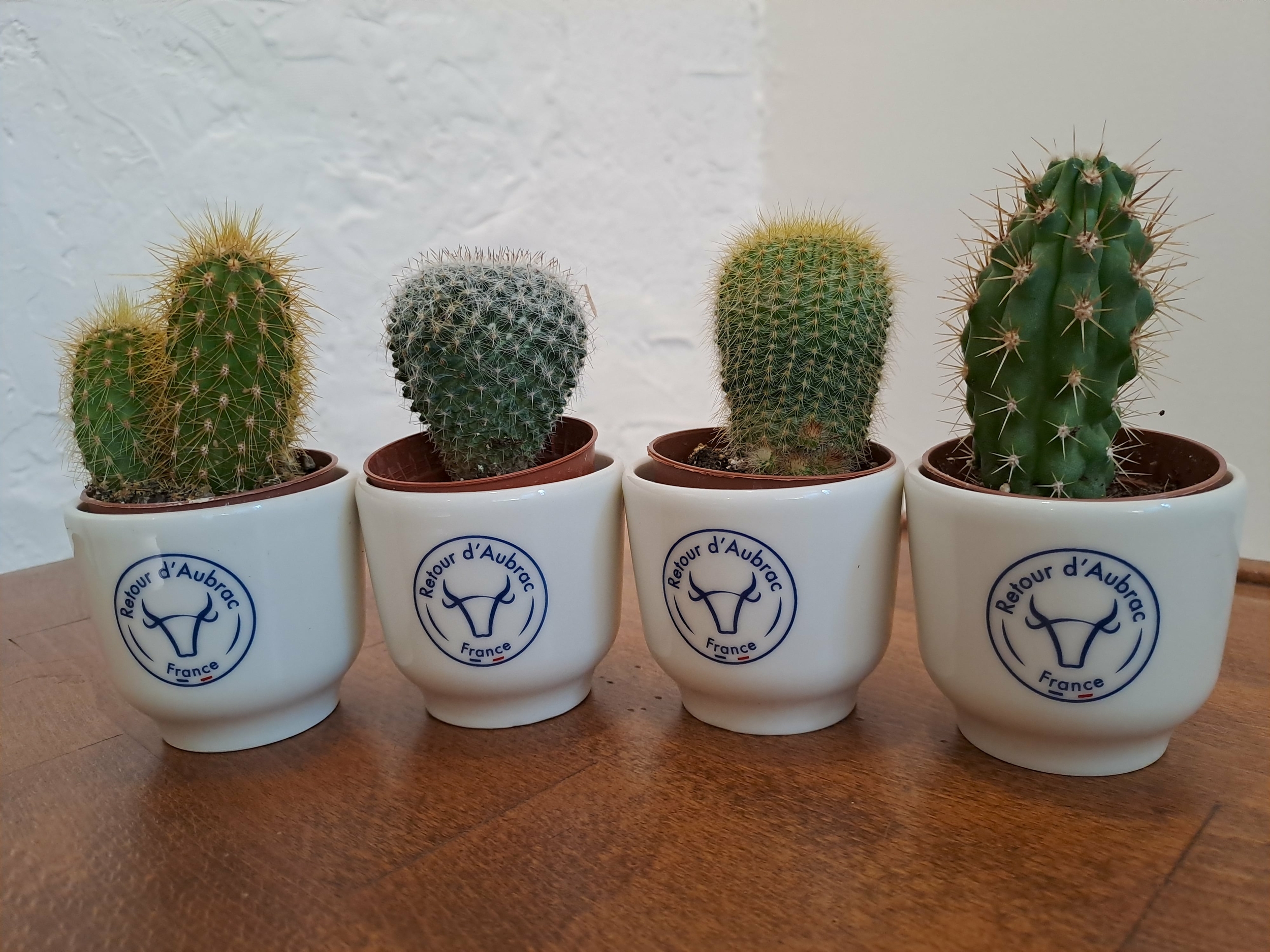 tasse en porcelaine-cadeau français-retour dAubrac-