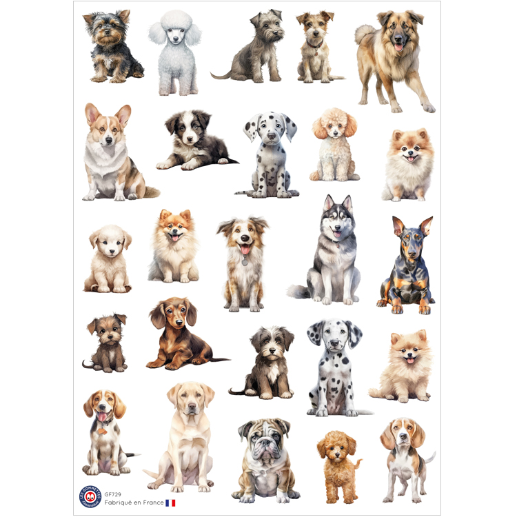 stickers-chiens-retour daubrac-les-gommettes-francaises-madeinfrance