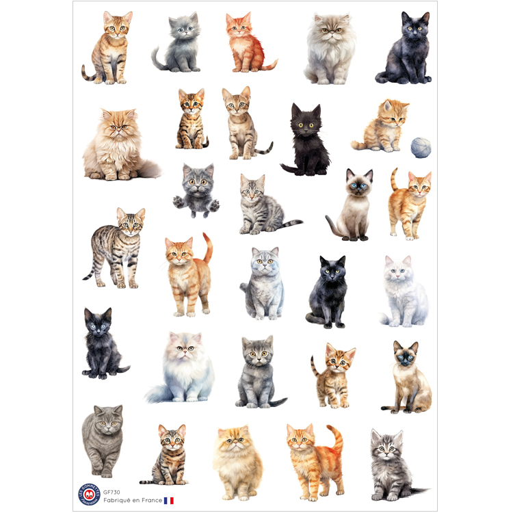 stickers-chat-retour daubrac-les-gommettes-francaises-madeinfrance