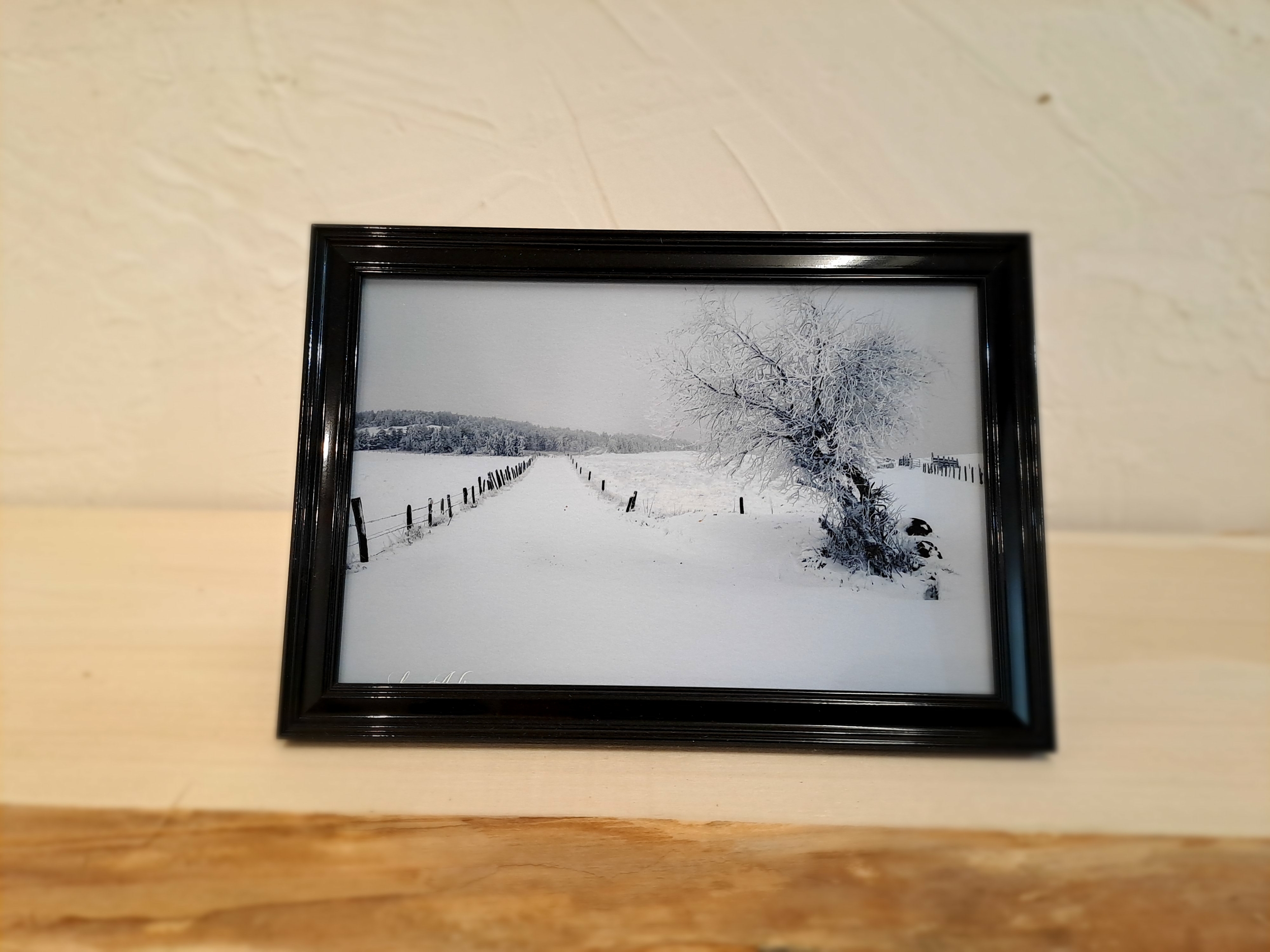 photo neige aubrac-cadre noir-Retour dAubrac
